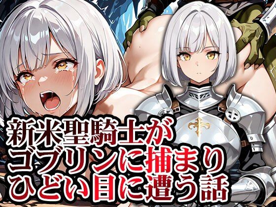 新米聖騎士ゴブリンに捕まりメス堕ち  エロ画像741518