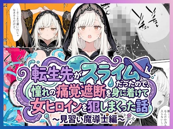 転生先がスライムだったので、憧れの痛覚遮断を身に着けて女ヒロインを犯しまくった話〜見習い魔導士編〜  エロ画像742414