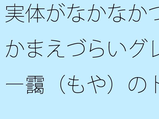 実体がなかなかつかまえづらいグレー靄（もや）のトンネルの中を  細微が問題になる  エロ画像743656