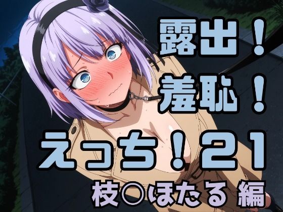 露出！羞恥！えっち！二次創作イラスト集21［枝○ほたる］  エロ画像748915