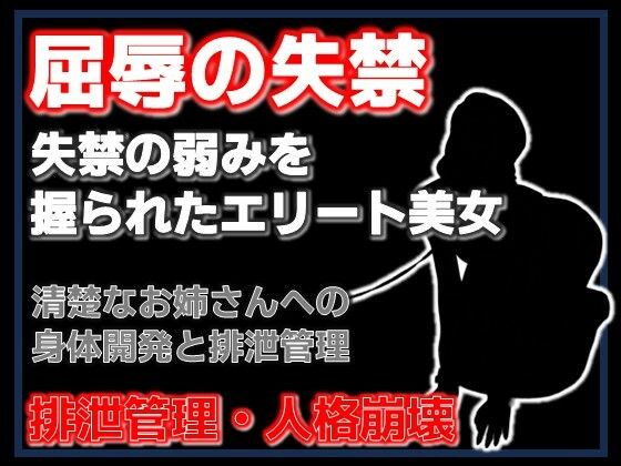 密室の聖女失禁:エレベーターに閉じ込められた清楚な年上美女をペットボトル排尿で屈服させた夜  エロ画像760210