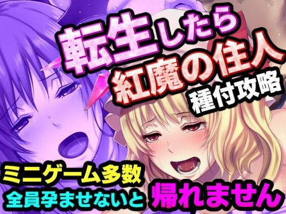 転生したら紅魔館の住人だった件  エロ画像761310