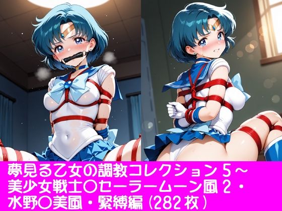 夢見る乙女の調教コレクション5〜美少女戦士〇ーラームーン風2・水野〇美風・緊縛編  エロ画像761874