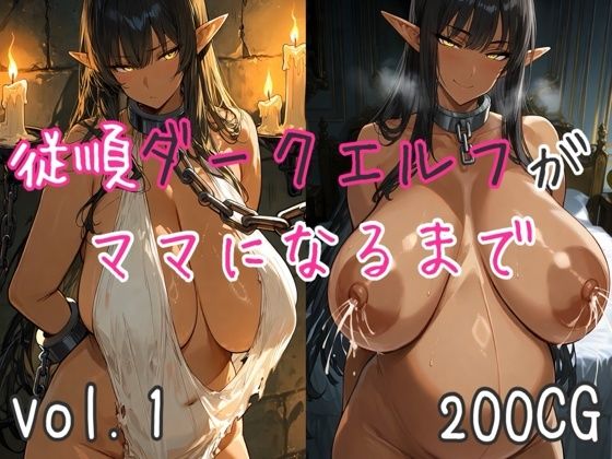 従順ダークエルフがママになるまで  エロ画像766403