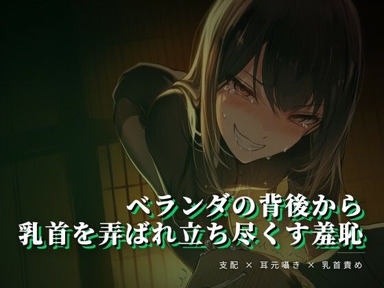 ベランダの背後から乳首を弄ばれ立ち尽くす羞恥  エロ画像767162