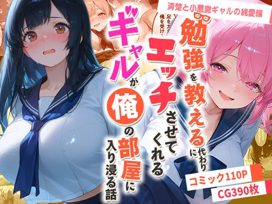 勉強を教える代わりにエッチをさせてくれるギャルが俺の部屋に入り浸る話 〜清楚と小悪魔ギャルの純愛編〜  エロ画像767680