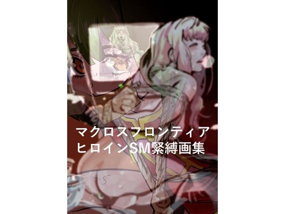 マクロスフロンティア  ヒロイン  SM緊縛画集  エロ画像769624