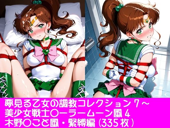 夢見る乙女の調教コレクション7〜美少女戦士〇ーラームーン風4・木野〇こと風・緊縛編  エロ画像771790