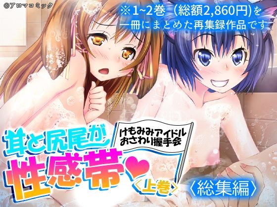 耳と尻尾が性感帯・けもみみアイドルおさわり握手会  ＜総集編＞  エロ画像772981