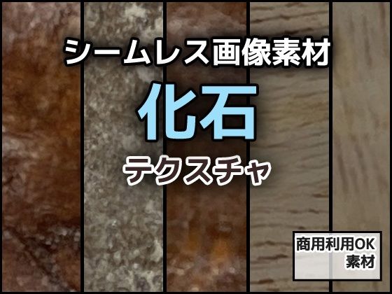 化石のテクスチャ/シームレス画像素材〜商用成人利用OKの著作権フリー  エロ画像773305
