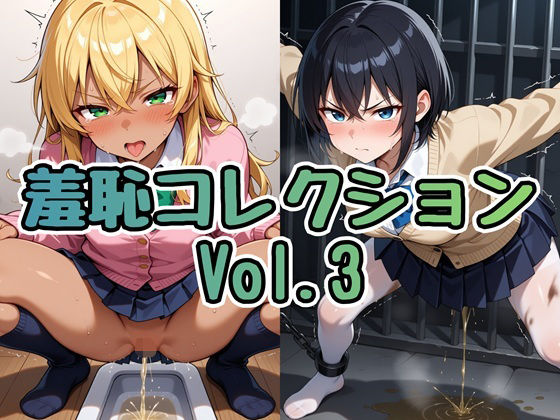 羞恥コレクション Vol.3  エロ画像780090