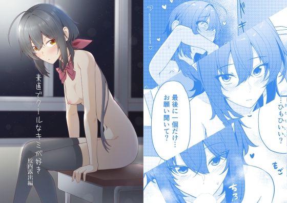 素直でクールなキミが好き  校内露出編  エロ画像780433