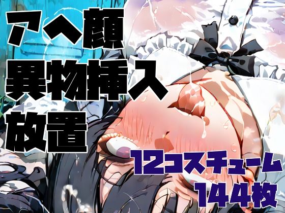 アヘ顔異物挿入ゴミ捨て場放置CG集 / 12コスチューム/ 144枚  エロ画像780437