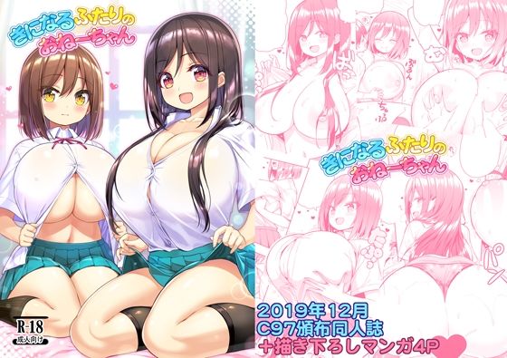 きになるふたりのおねーちゃん  エロ画像782546