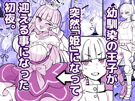 幼馴染の王子が突然「姫」になって迎える事になった初夜。  エロ画像785745