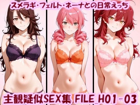 主観疑似SEX集 FILE_H01-03 スメラギ・フェルト・ネーナとの日常えっち  エロ画像789449