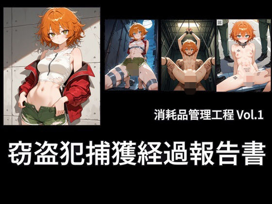 窃盗犯捕獲経過報告書  エロ画像789617