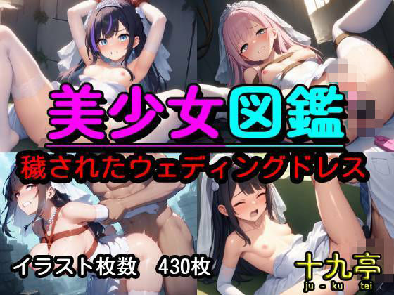 美少女図鑑  穢されたウェディングドレス  エロ画像790315