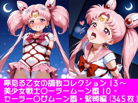 夢見る乙女の調教コレクション13〜美少女戦士〇ーラームーン風10・ちび〇さ風・緊縛編  エロ画像792404