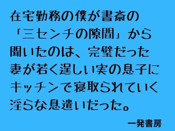 在宅勤務の僕が書斎の「三センチの隙間」から聞いたのは、完璧だった妻が若く逞しい実の息子にキッチンで寝取られていく淫らな息遣いだった。  エロ画像796576