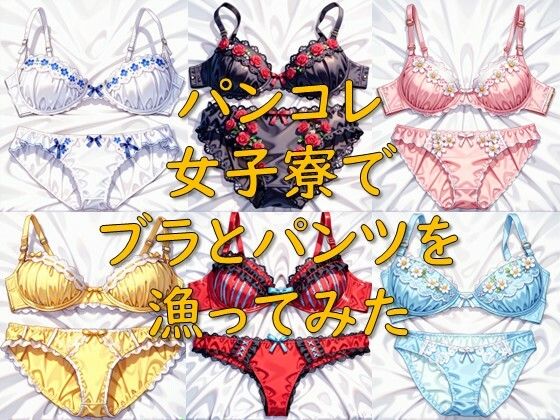 パンコレ_女子寮でブラとパンツを漁ってみた  エロ画像802190