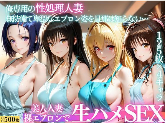 裸エプロン人妻は俺の性処理道具 〜旦那の知らないところで生ハメ中出し〜  エロ画像803417