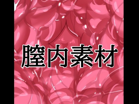 膣内素材  エロ画像804638
