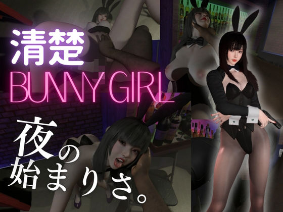 【BunnyGirl】黒髪清楚バニーと夜の始まりさ。夜のバーでバニー服従。  エロ画像811458