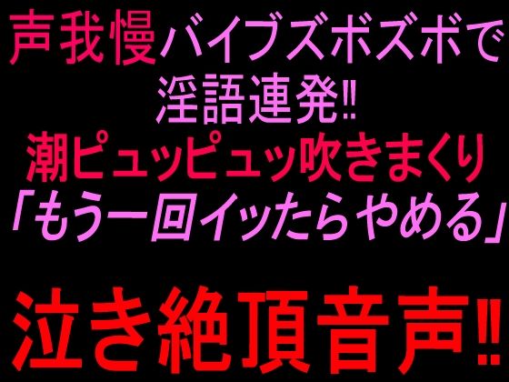 声我慢バイブズボズボで淫語連発！！潮ピュッピュッ吹きまくり「もう一回イッたらやめる」泣き絶頂音声！！  エロ画像821383
